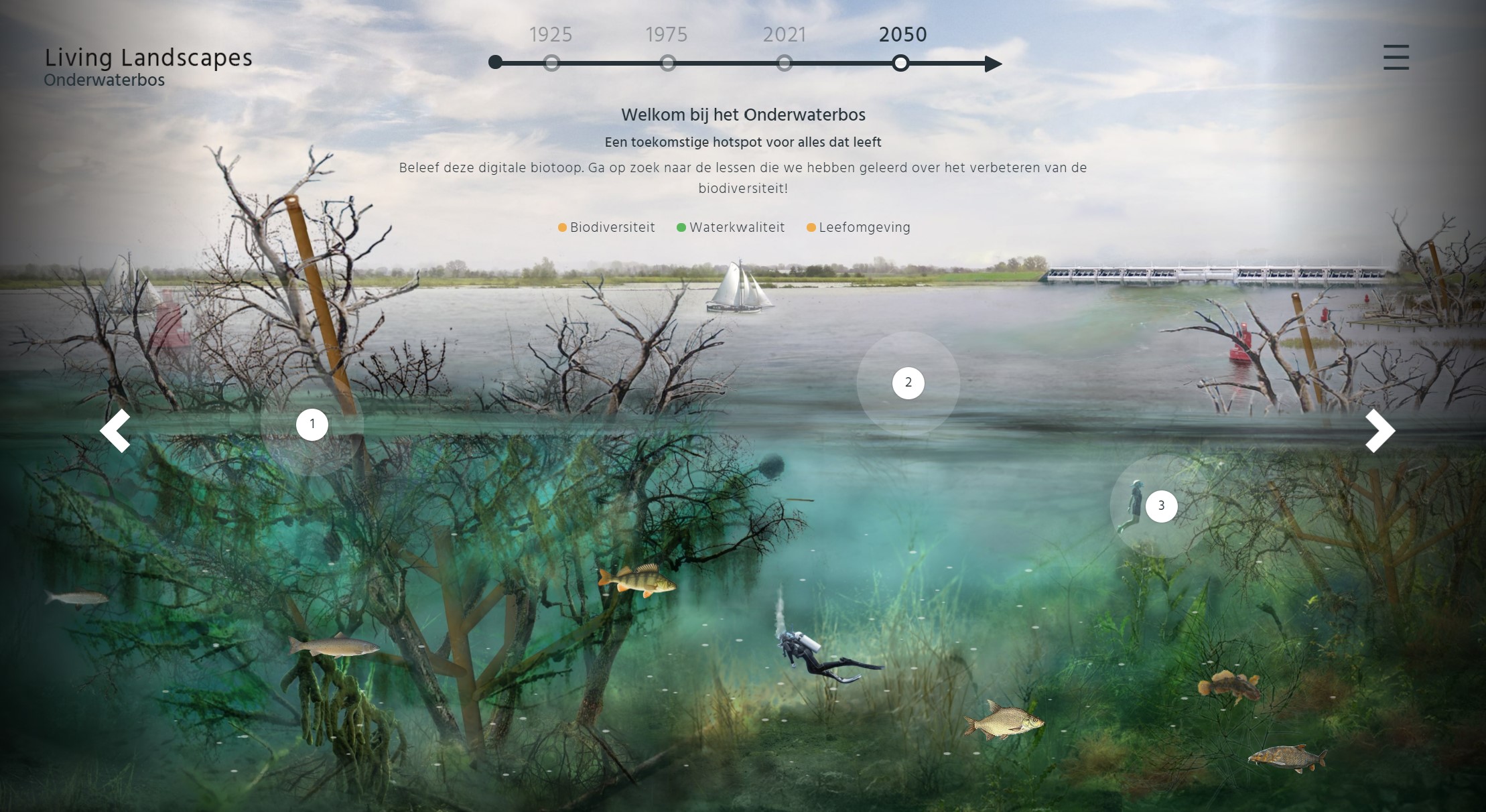 Leer over biodiversiteit in het Digitale Onderwaterbos